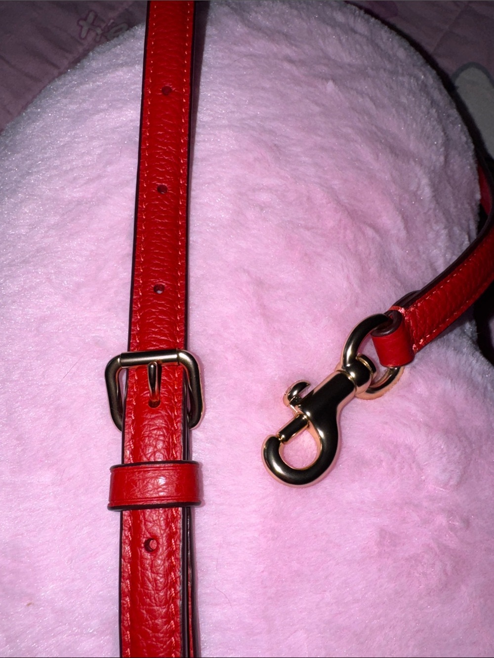 Coach Red Leather Adjustable Crossbody Strap with Gold Hardware - Picture 4 of 11